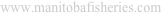 shapeimage_1_link_0
